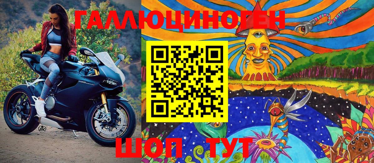 Галлюциногенные грибы Psilocybine cubensis Богородицк