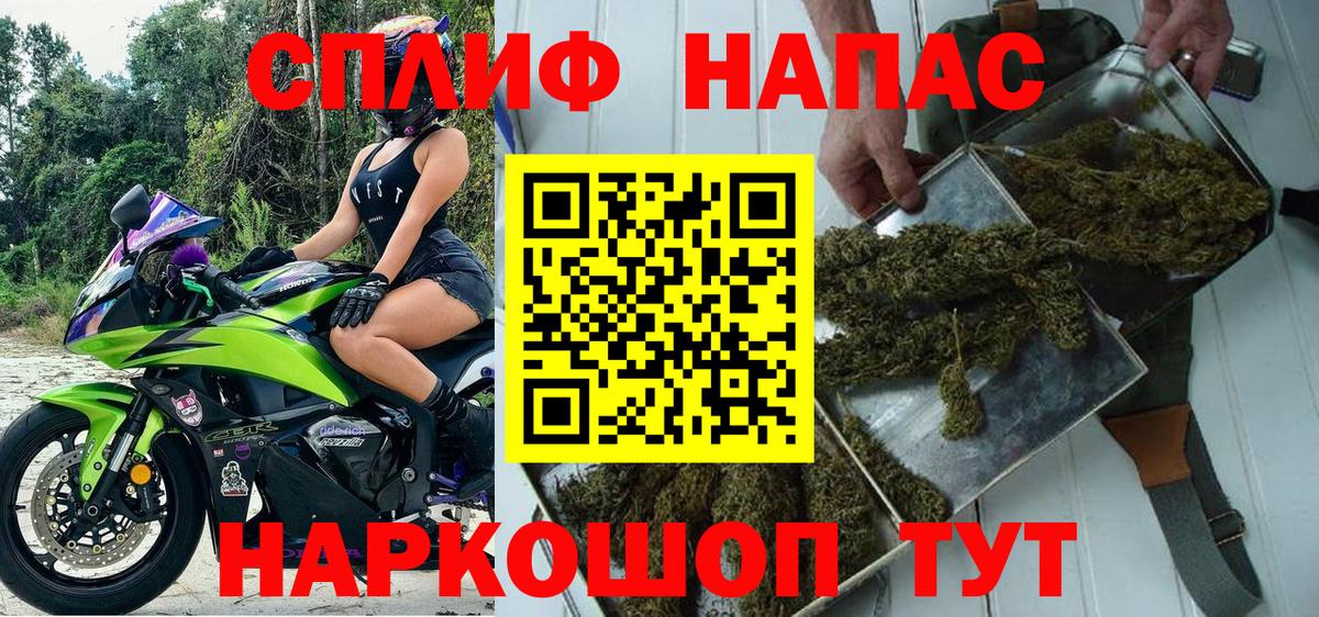 Каннабис план Богородицк